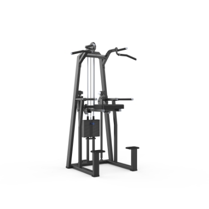 Resim ProFitness Jn3009T Dip/Chin Assist      
