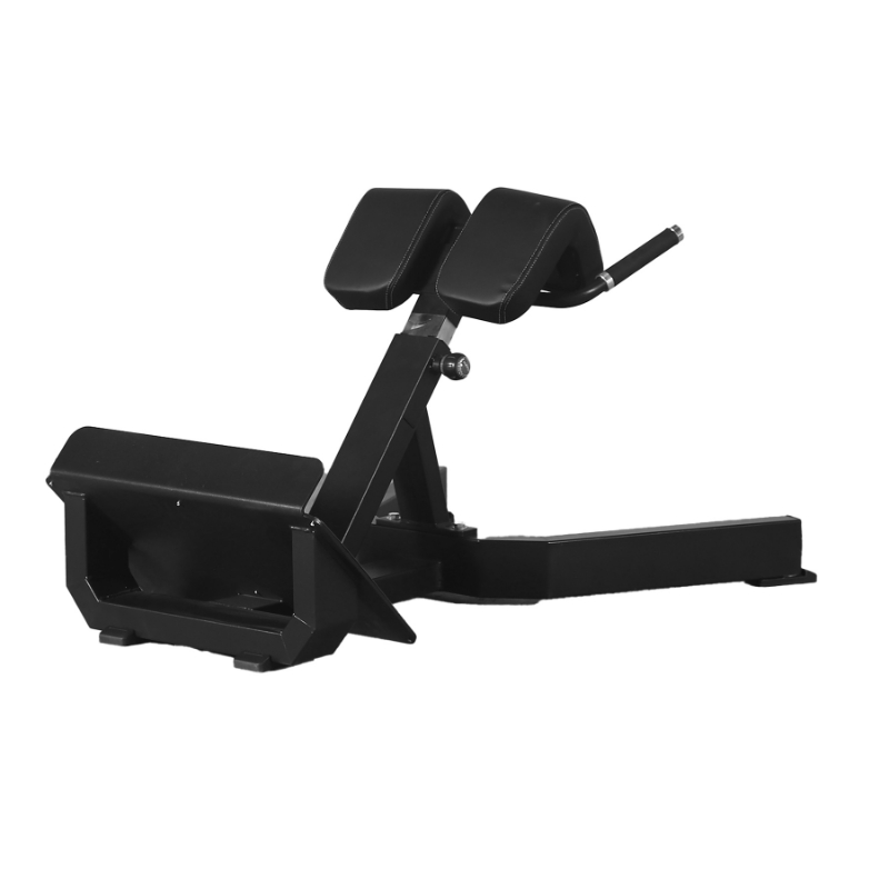 Resim ProFitness 2046 Roman Chair      