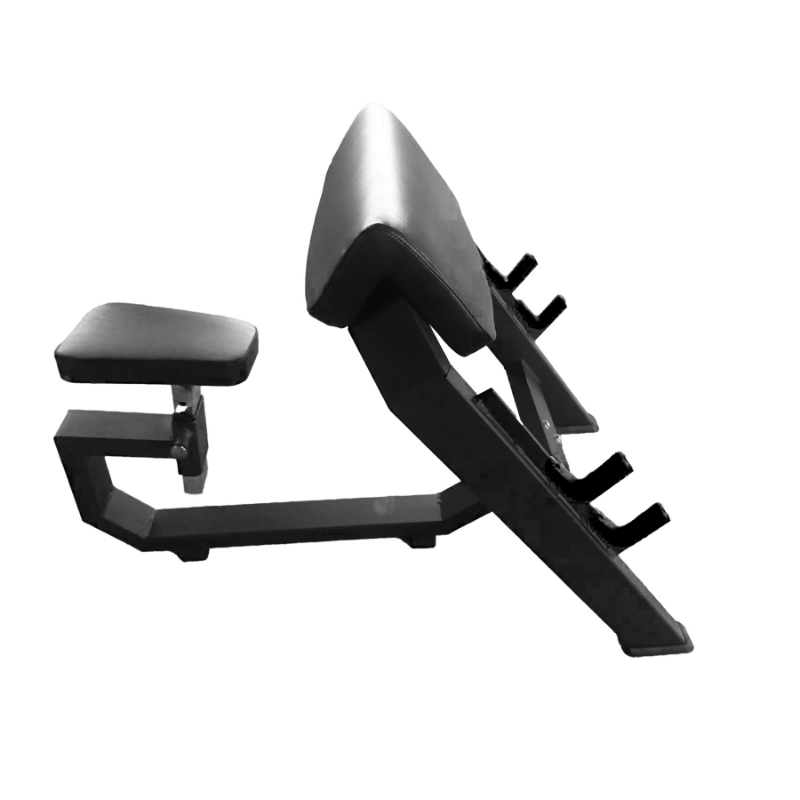 Resim ProFitness 20487 Preacher Curl      